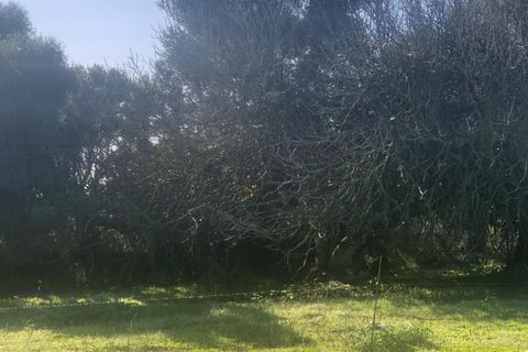 Terra a Barbate, Cadiz, Barbate - € 480.000 | Ref: vc 191 - foto 17